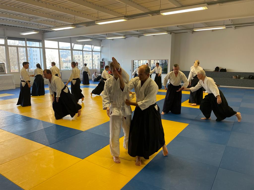 Week-end d'Aikido avec Sensei Gérard Blaize 19.3.22